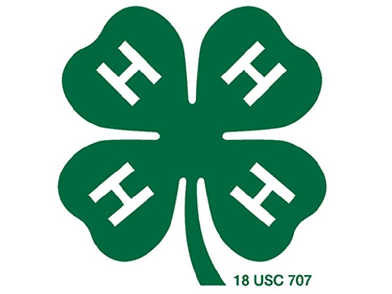 Logo for 2026 DuPage County 4-H Fair